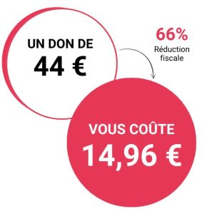 Réduction fiscale Impot sur le Revenu